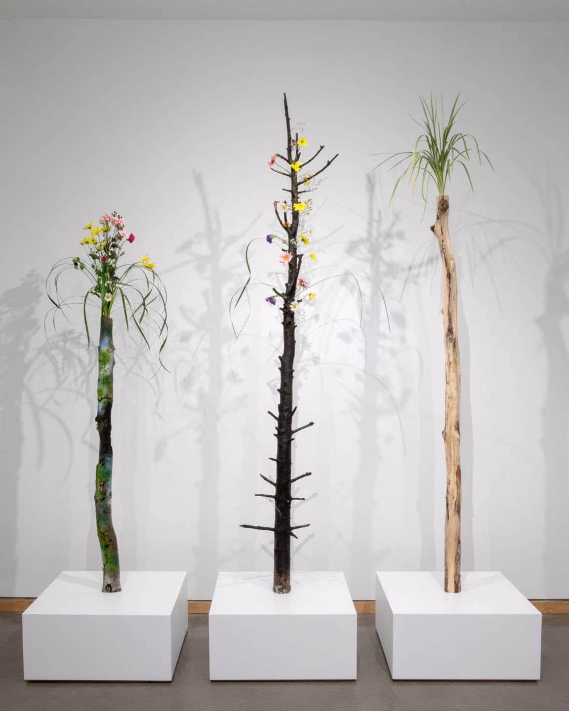 Gavin Lynch at Angell Gallery